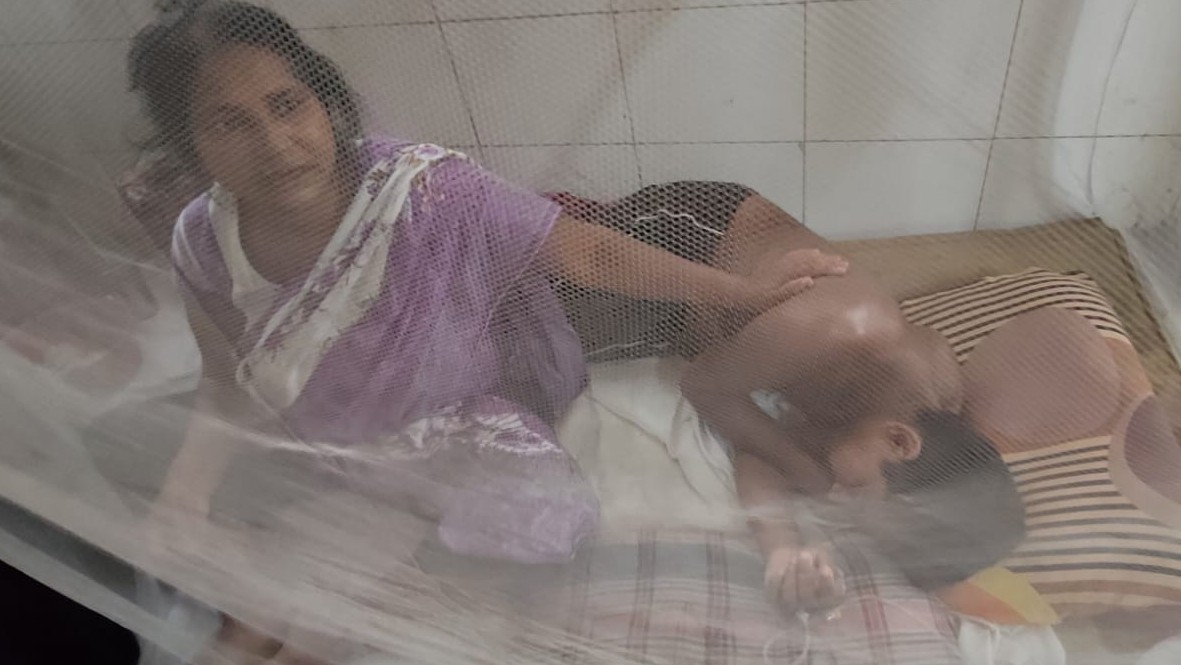 মানিকগঞ্জে তিন বছরের মধ্যে সর্বোচ্চ ডেঙ্গু রোগী শনাক্ত